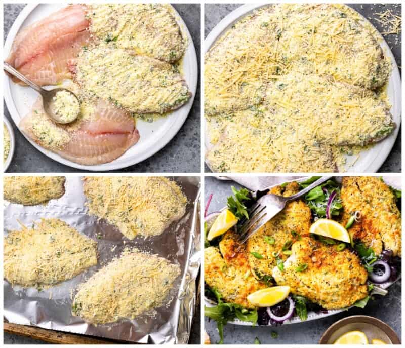 step by step photos for how to make parmesan crusted tilapia.