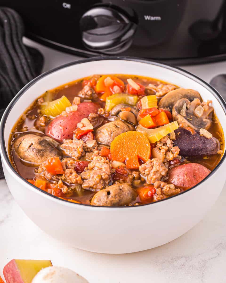 a bowl of stew in front of a slow cooker.
