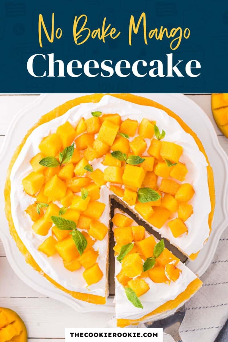 no bake mango cheesecake.