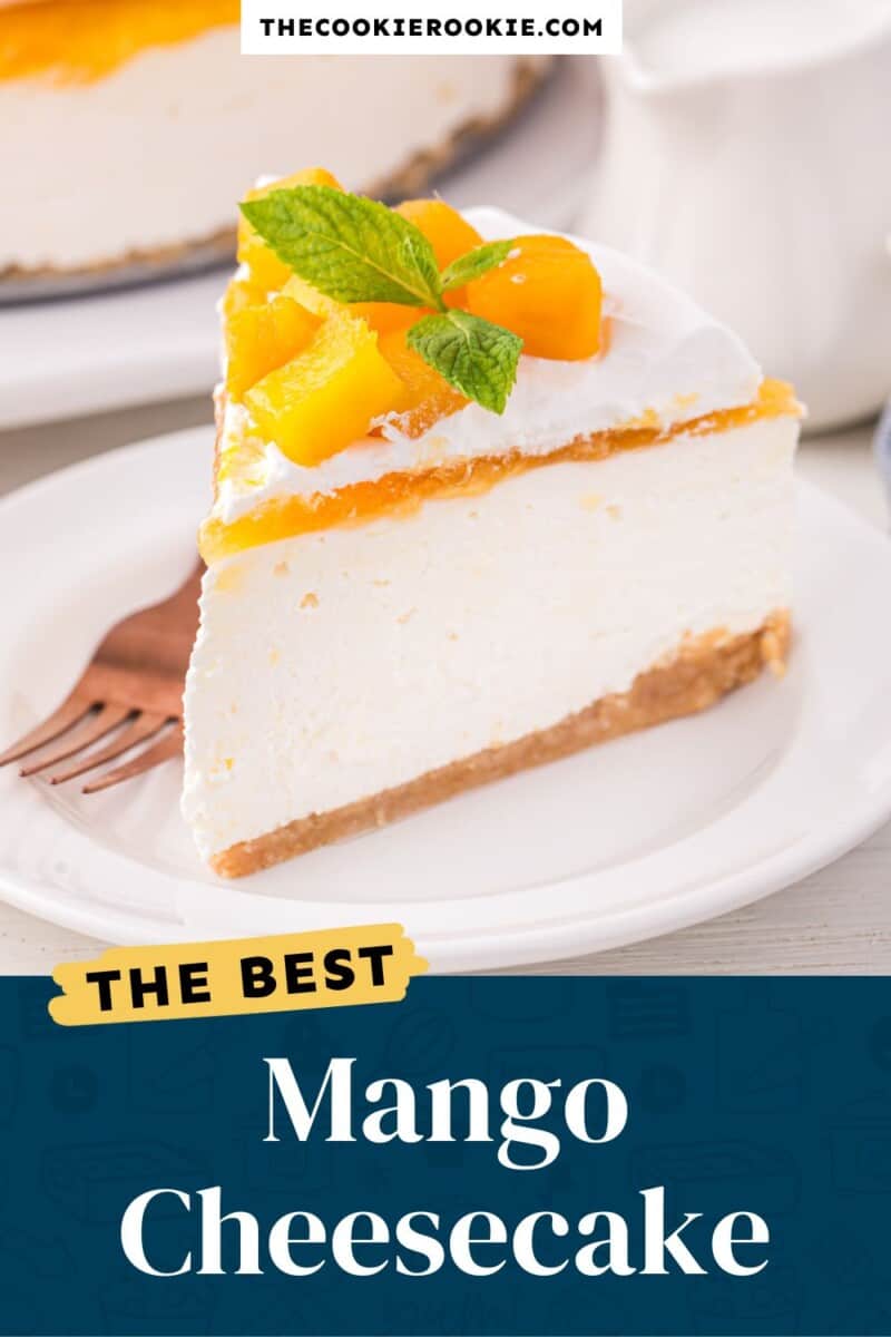 the best mango cheesecake.