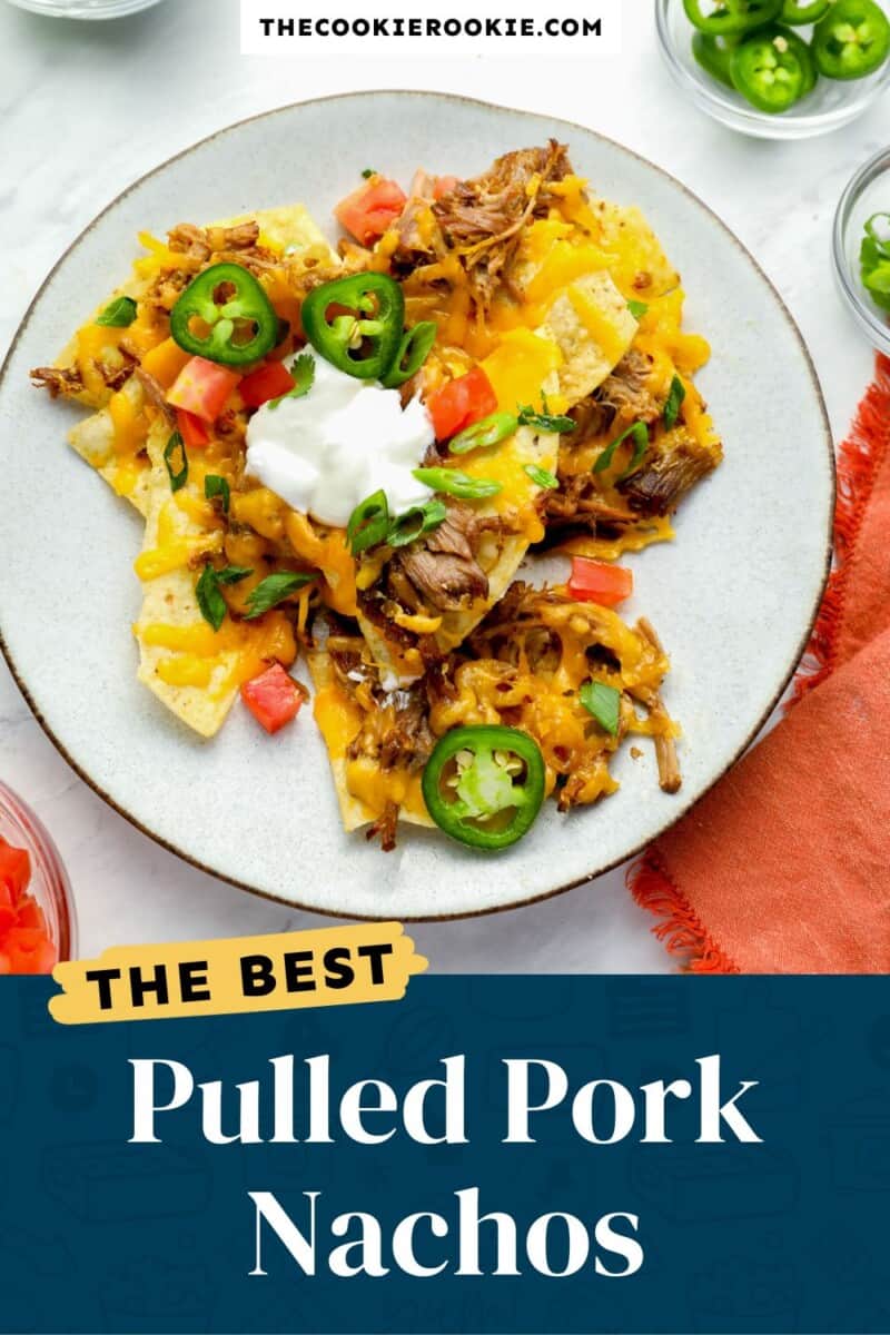pulled pork nachos on a white plate with the text the best pulled pork nachos.