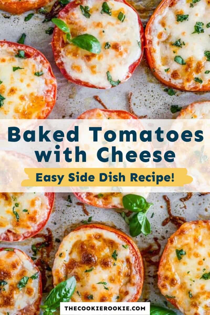Baked tomatoes with cheese easy side dish recipe.