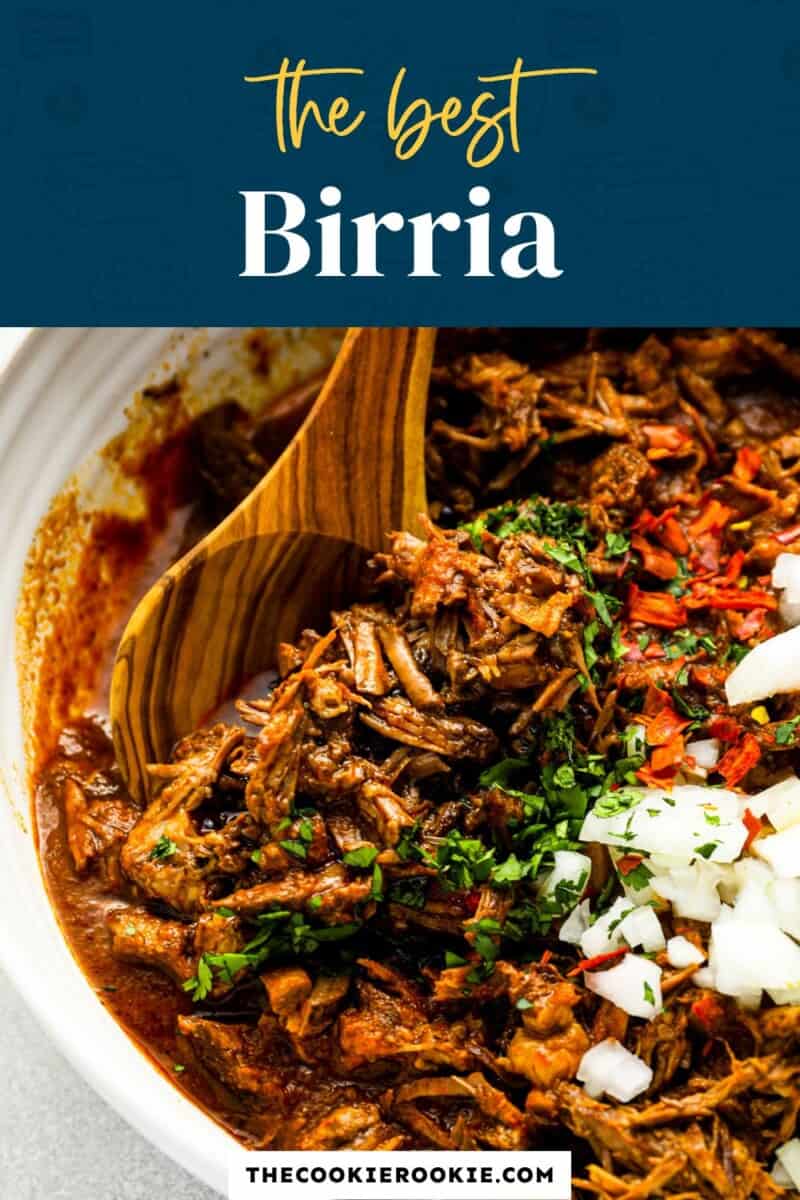 The best birria on a white plate with a wooden spoon.