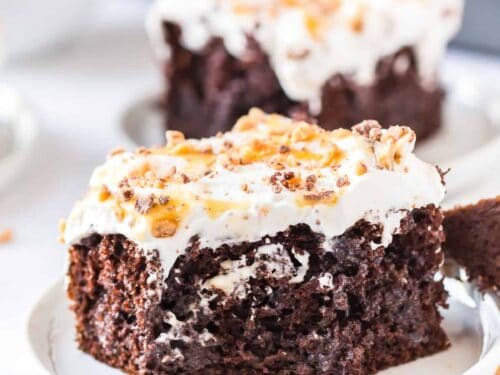 Better Than Sex Cake Recipe - The Cookie Rookie®