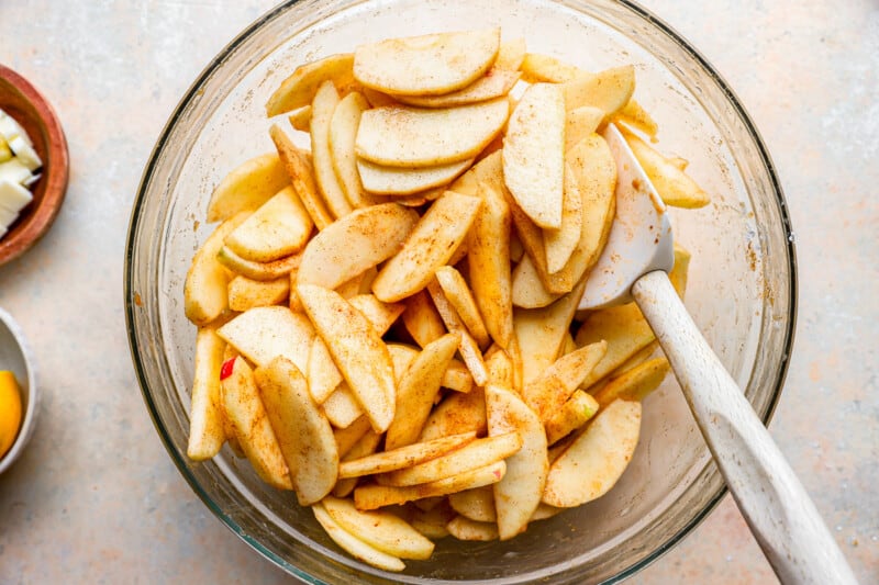 Apple slices in a bowl with a spoon.