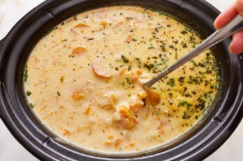 A person is scooping soup out of a crock pot.