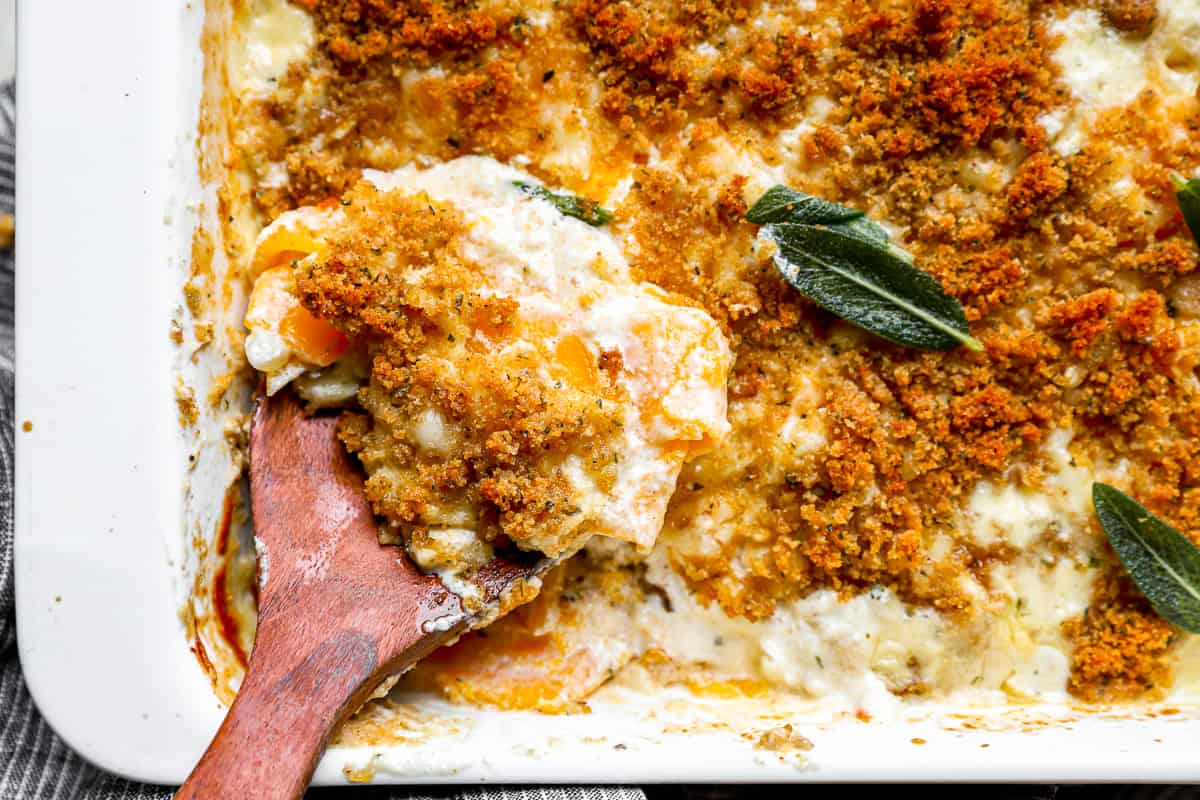 A spoon lifting a scoop of cheesy squash from a casserole dish.