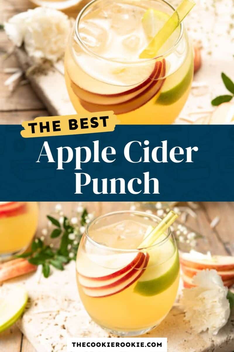 The best apple cider punch.