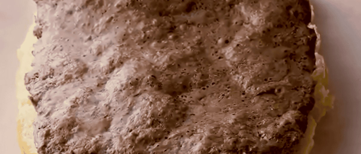 Ground beef on the rolls. 