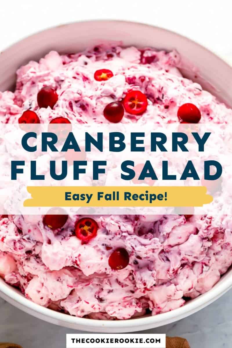 A bowl of cranberry fluff salad with the text cranberry fluff salad easy fall recipe.