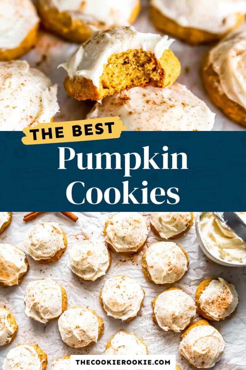 Pumpkin Cookies Recipe - The Cookie Rookie®