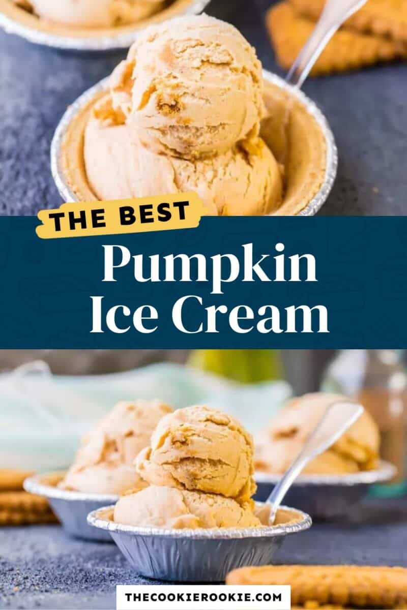 The best pumpkin ice cream.