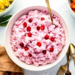 Cranberry ricotta dip with cranberries in a white bowl.