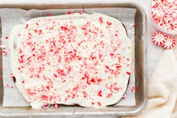 Peppermint peppermint brownies in a pan with icing and candy canes.