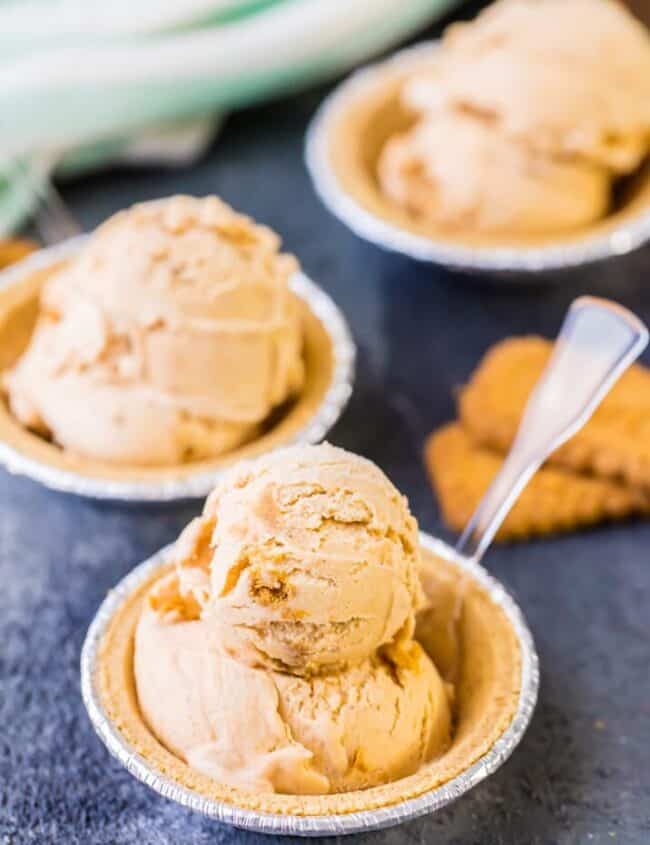 It doesn't get better for Thanksgiving than PUMPKIN PIE ICE CREAM! This is a MUST MAKE for Autumn! So easy, decadent, and DELICIOUS!