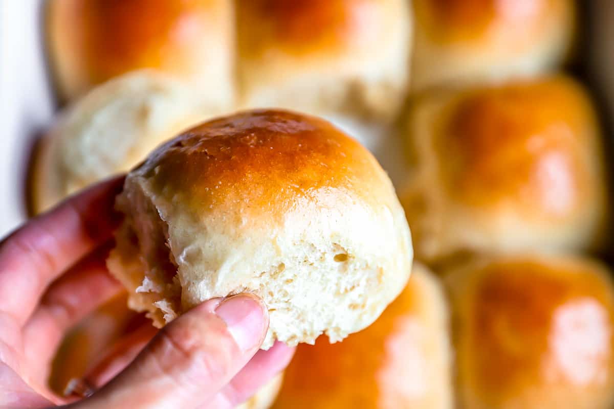 A person holding up a soft Thanksgiving roll.