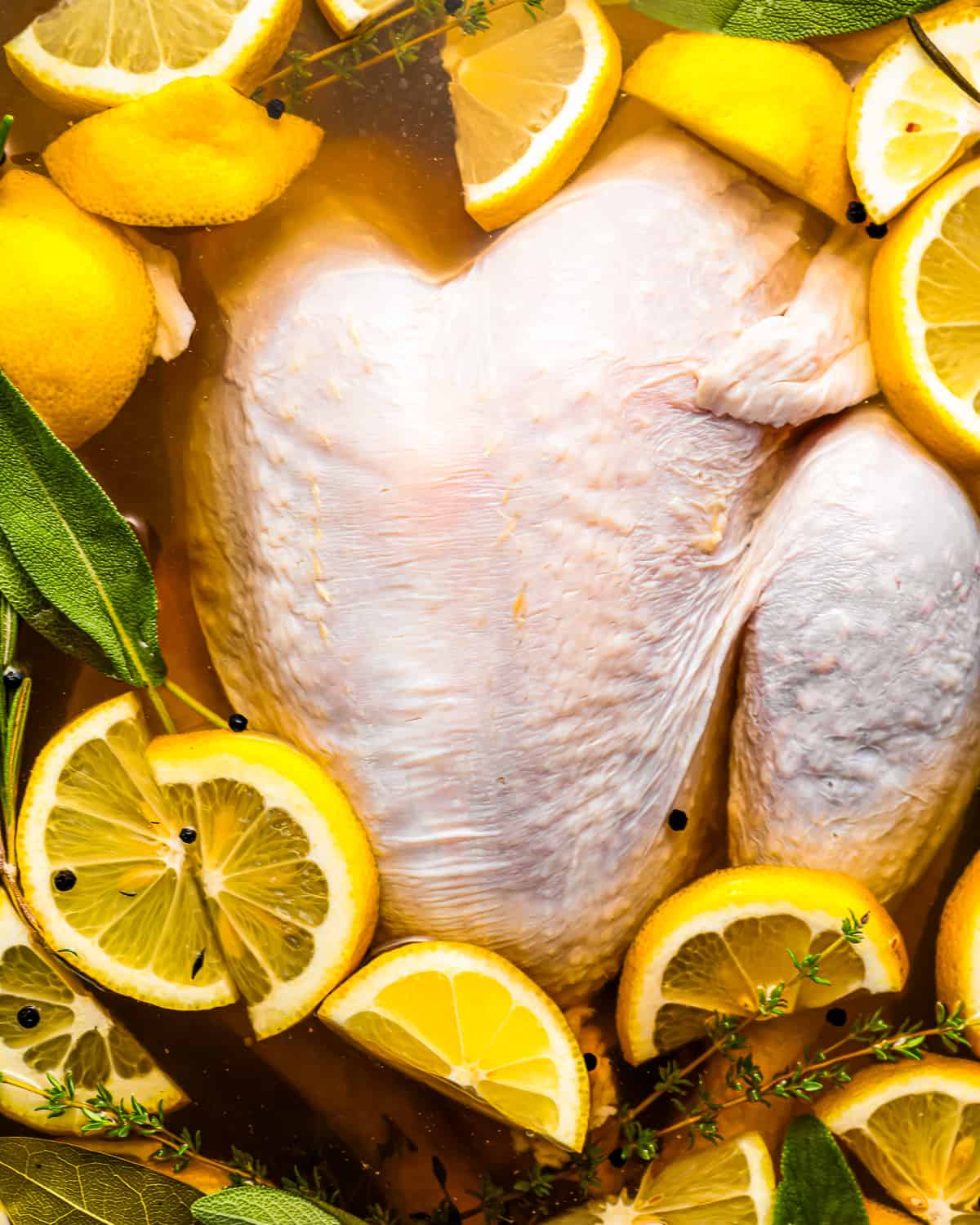 A turkey submerged in wet brine surrounded by lemons and thyme.