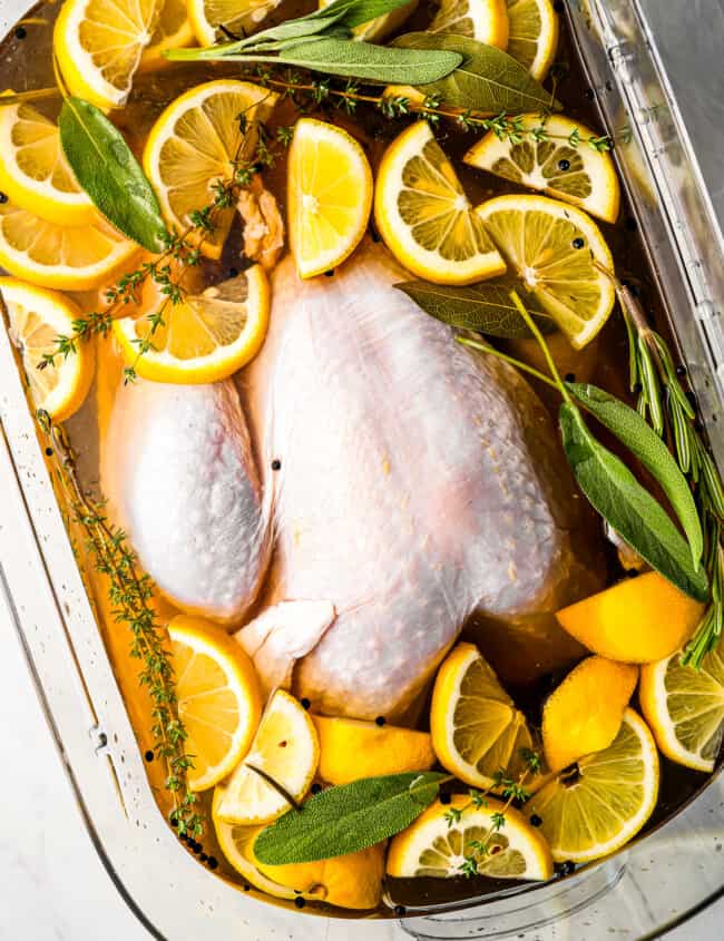 A chicken in a glass dish with lemons and thyme.