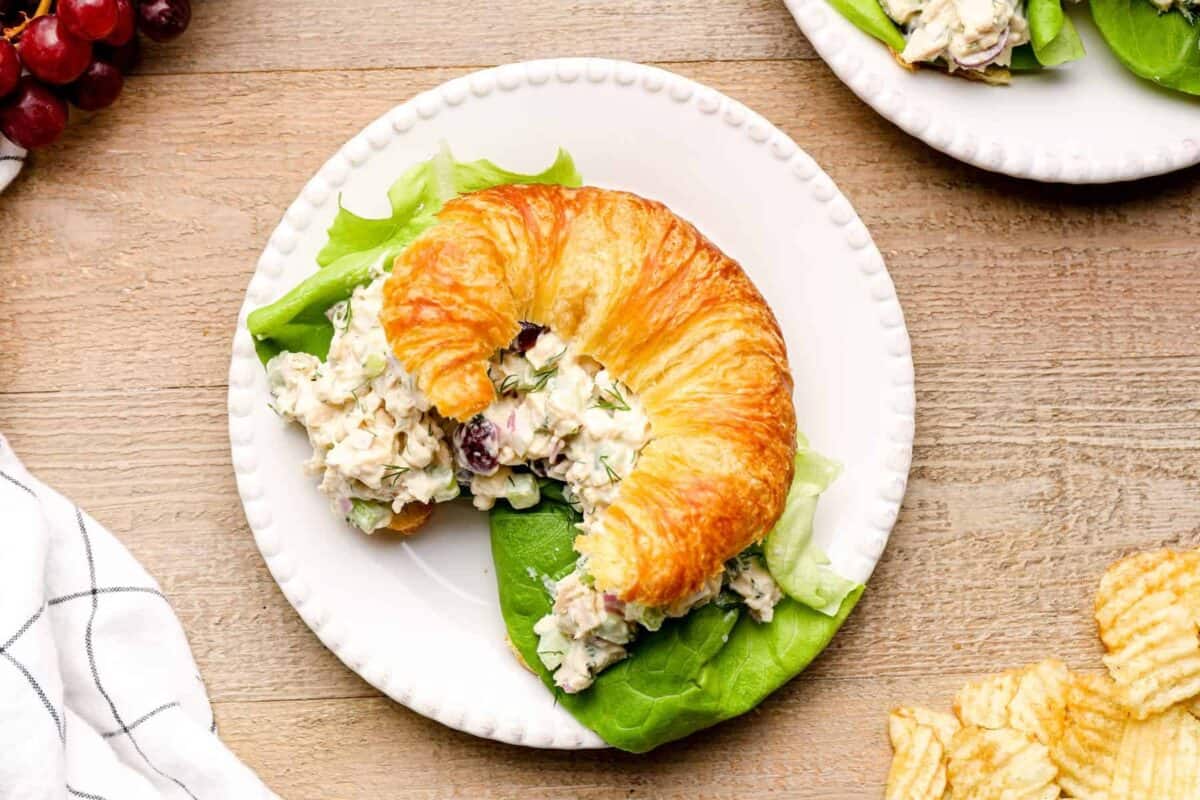 a chicken salad sandwich on a white plate.