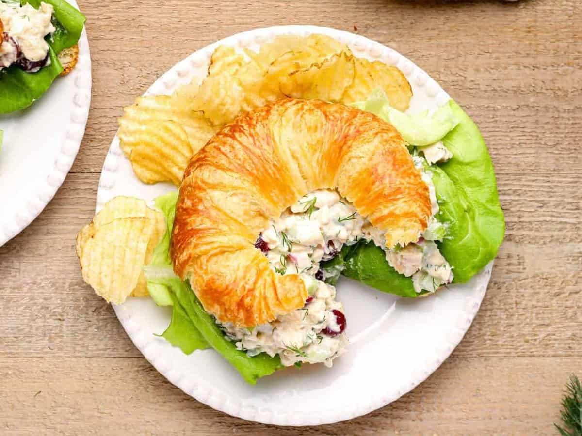 chicken salad on a croissant on a white plate with chips.