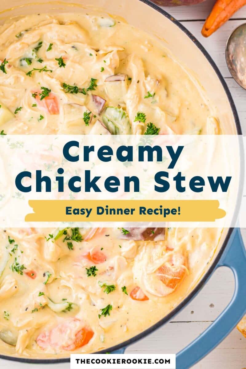 Creamy chicken stew easy dinner recipe.
