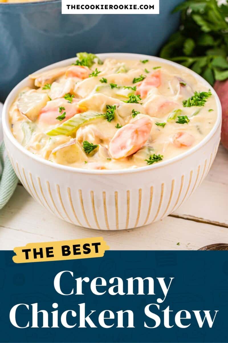 Creamy chicken stew in a bowl.