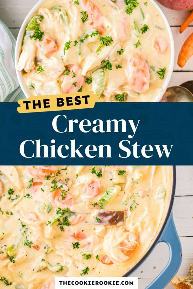 The best creamy chicken stew.