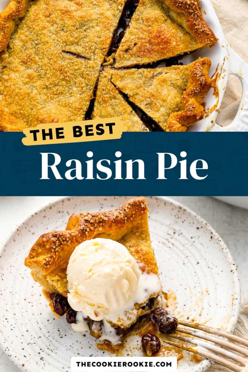 Raisin Pie Recipe - 91