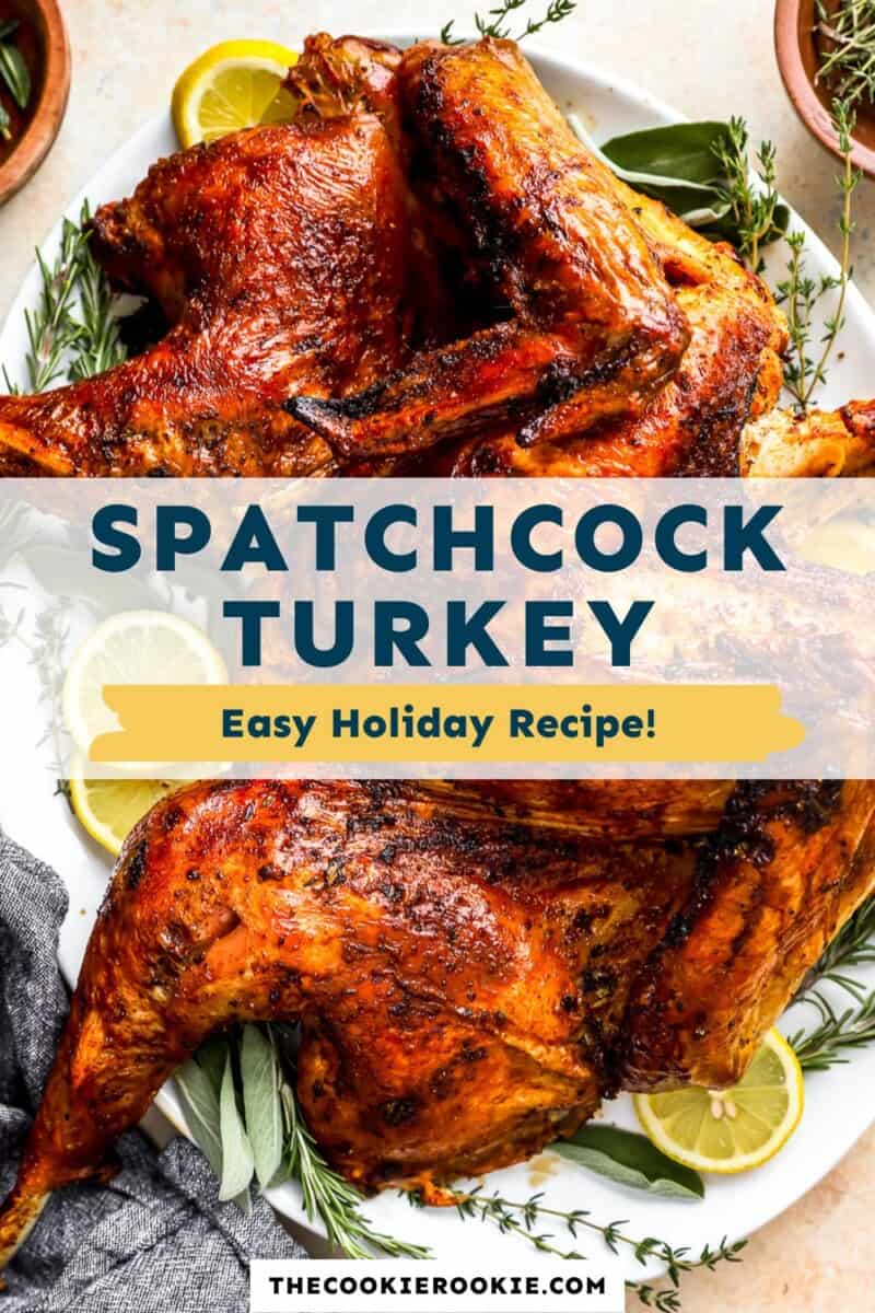 Spatchcock turkey easy holiday recipe.