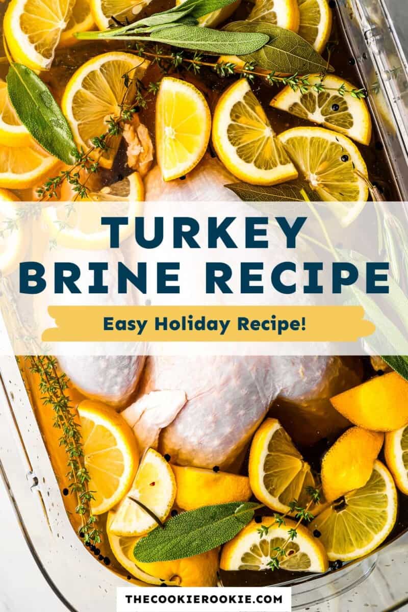 Turkey brine recipe easy holiday recipe.