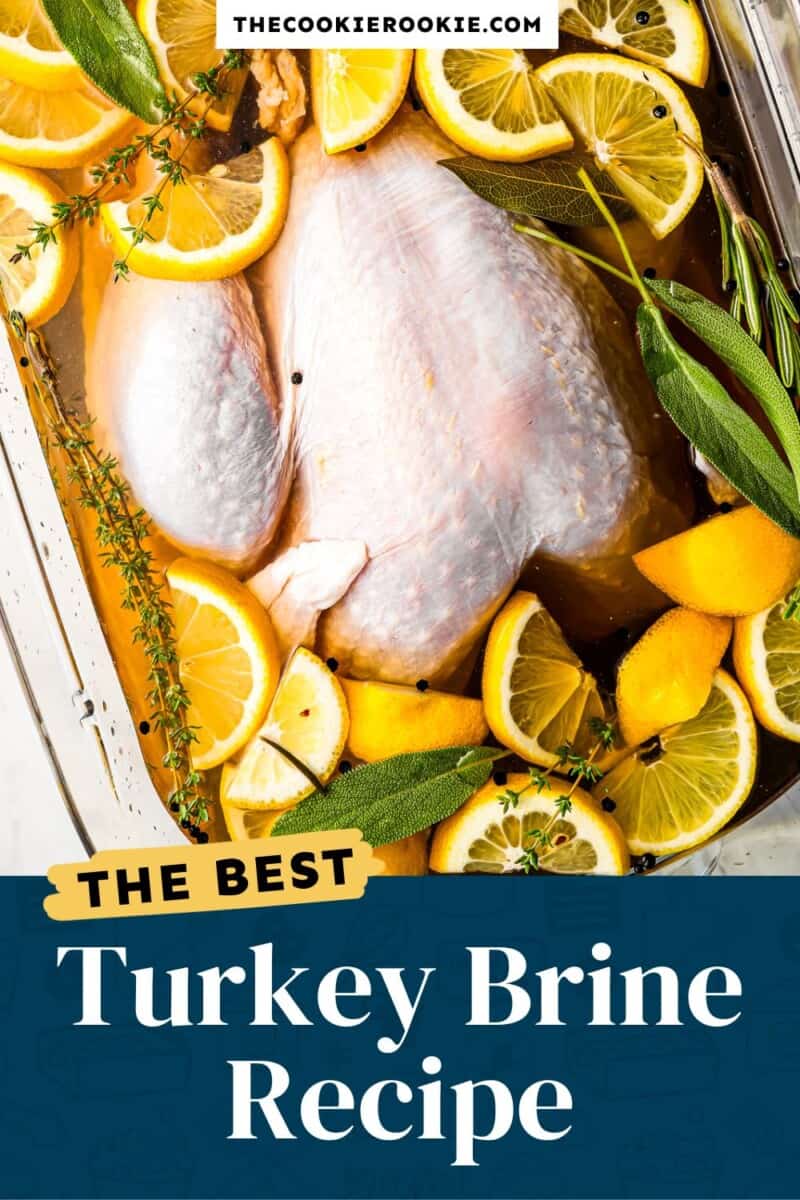 The best turkey brine recipe with lemons and onions.