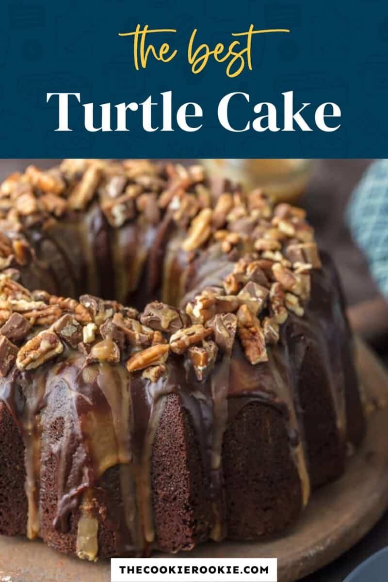 A bundt cake on a plate with the text the best turtle cake.