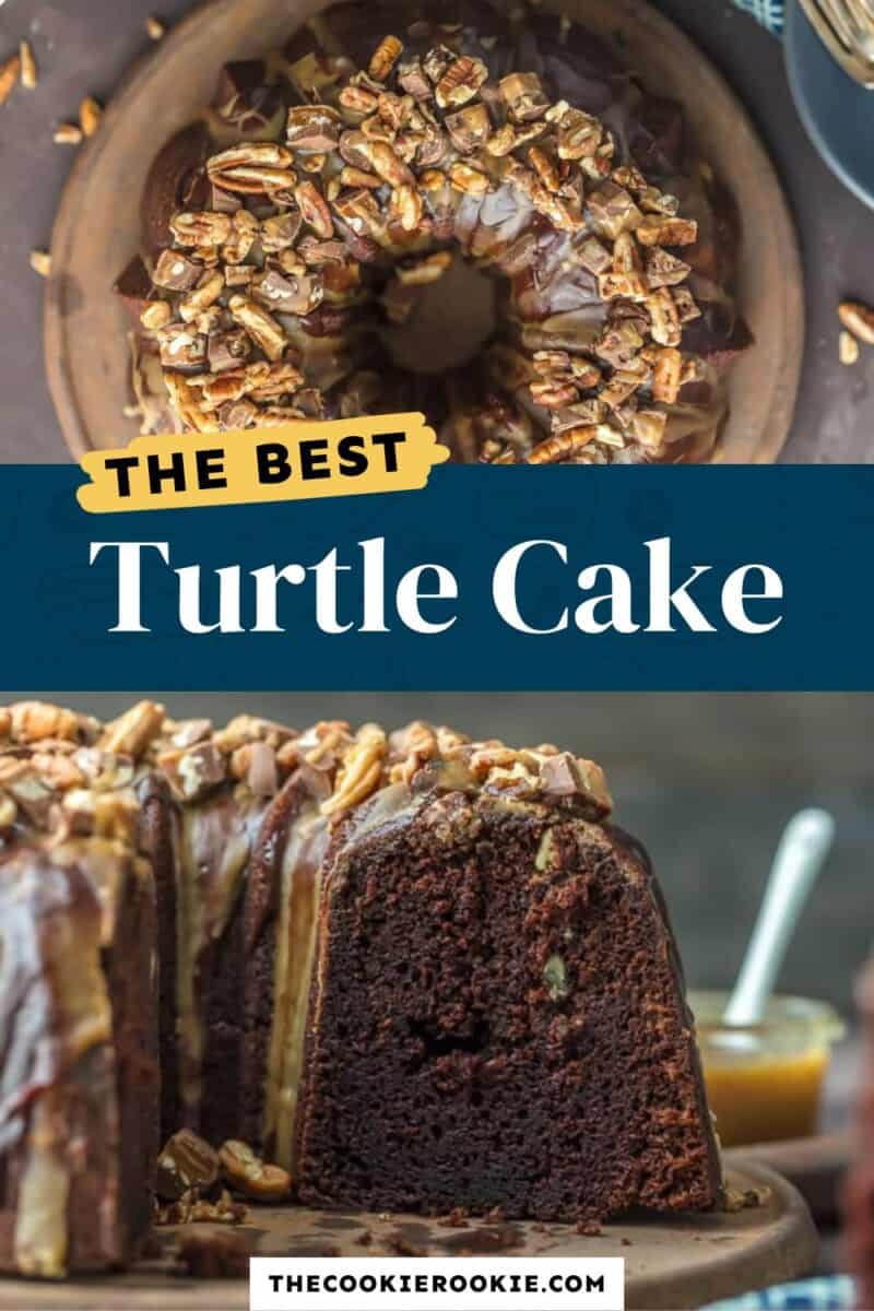 The best turtle cake with walnuts and pecans.