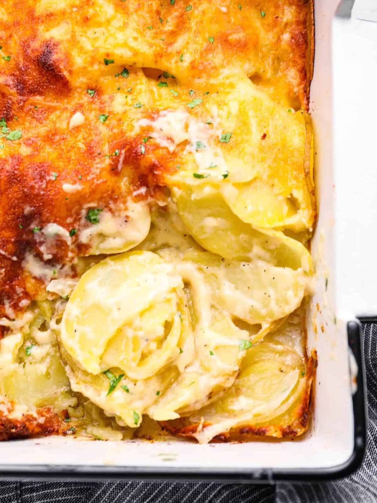 close up of au gratin potatoes in a 9x13 baking pan.