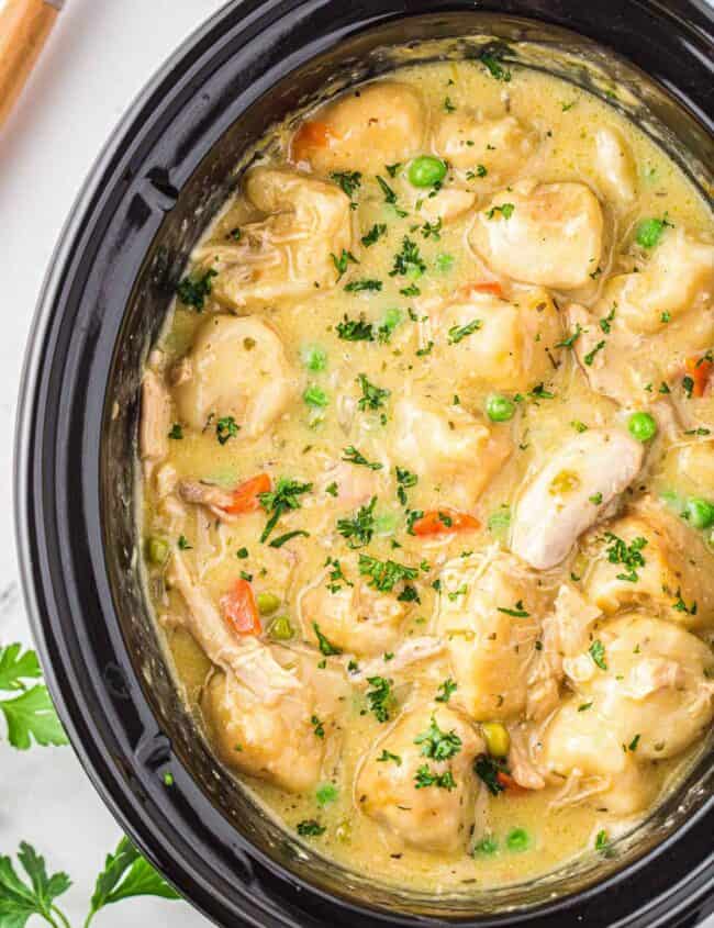 crockpot chicken and dumplings garnished with parsley