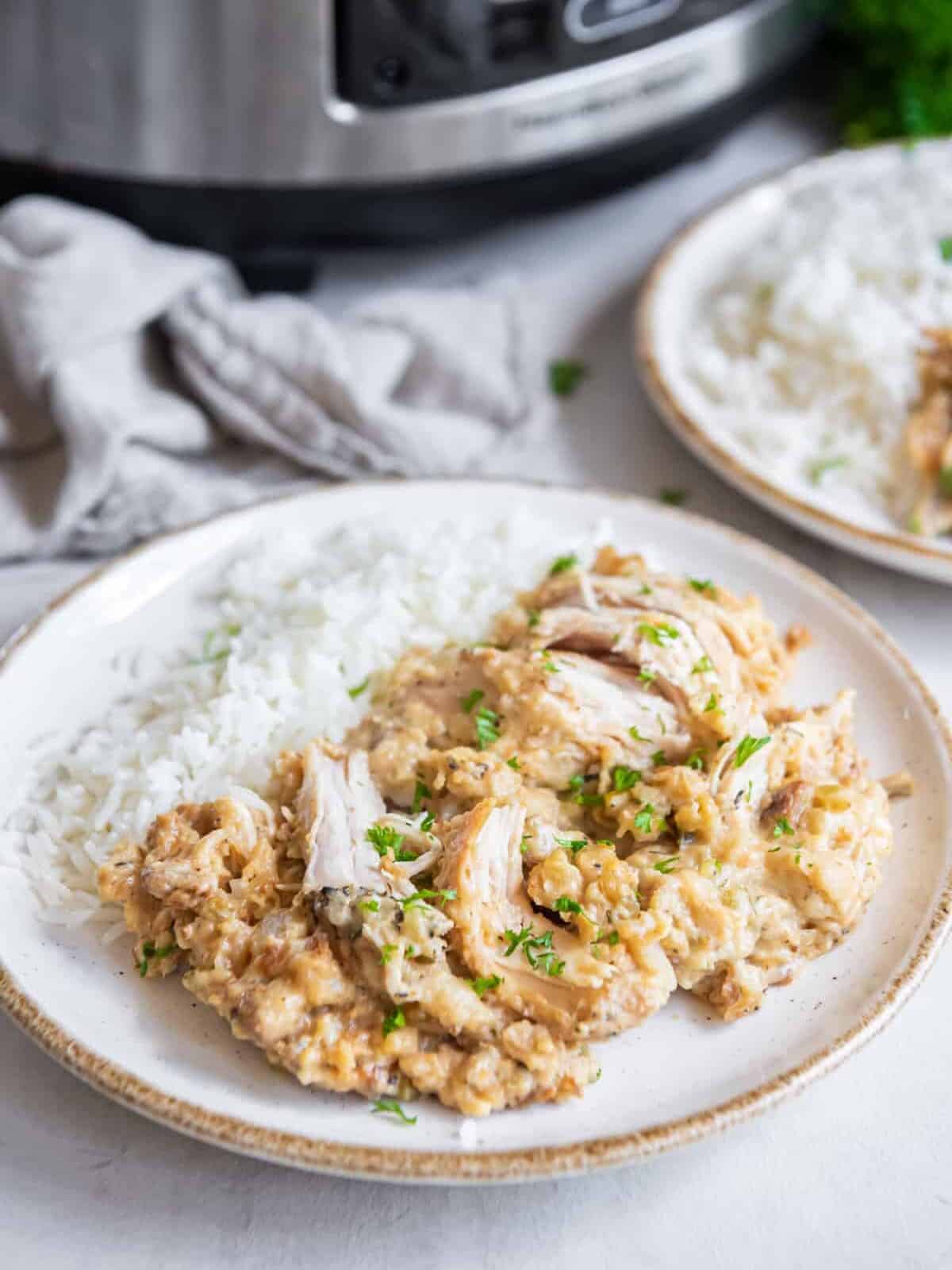 crockpot chicken and stuffing with white rice on a white plate.