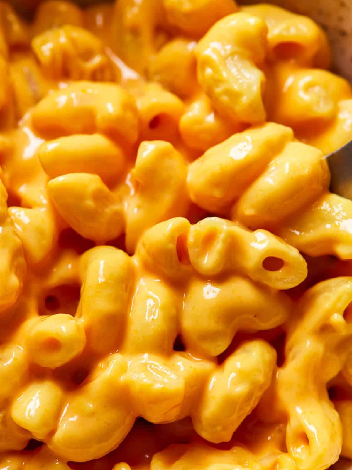 close up on creamy mac n cheese