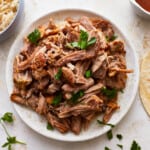 Pulled pork on a plate next to tortillas and salsa.
