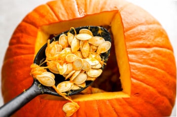 A spoon filled with pumpkin seeds in a pumpkin.