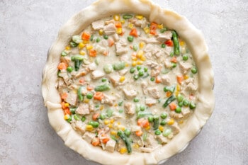 A pie crust filled with chicken and vegetables.