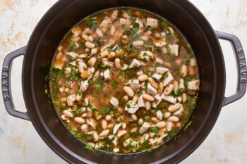 A white bean and chicken chili in a pot.