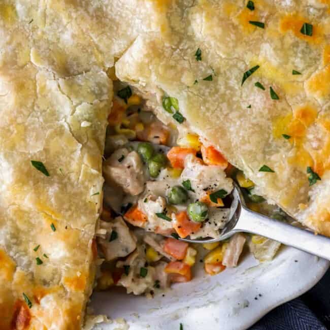 Turkey pot pie on a white plate with a spoon.