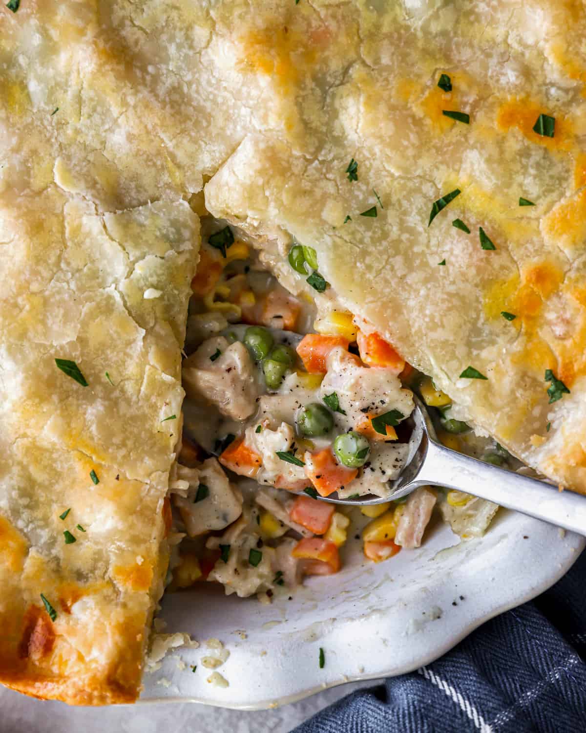 Turkey pot pie on a white plate with a spoon.