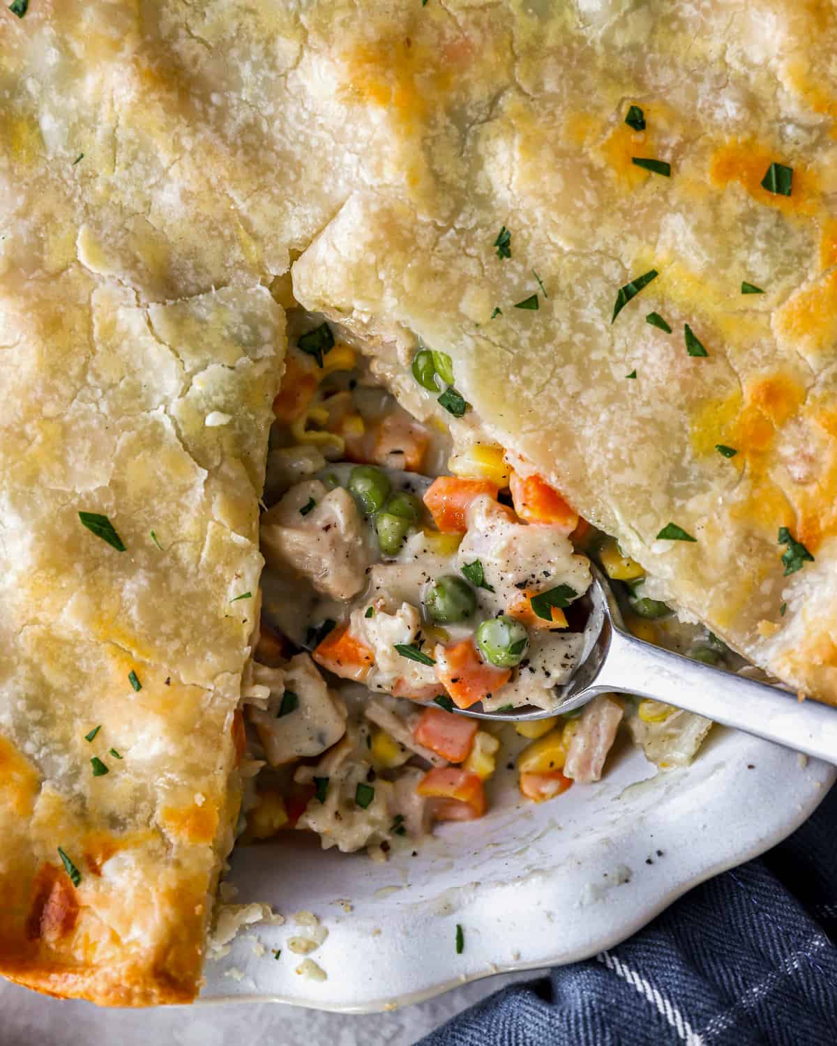 Turkey Pot Pie Recipe – The Cookie Rookie®