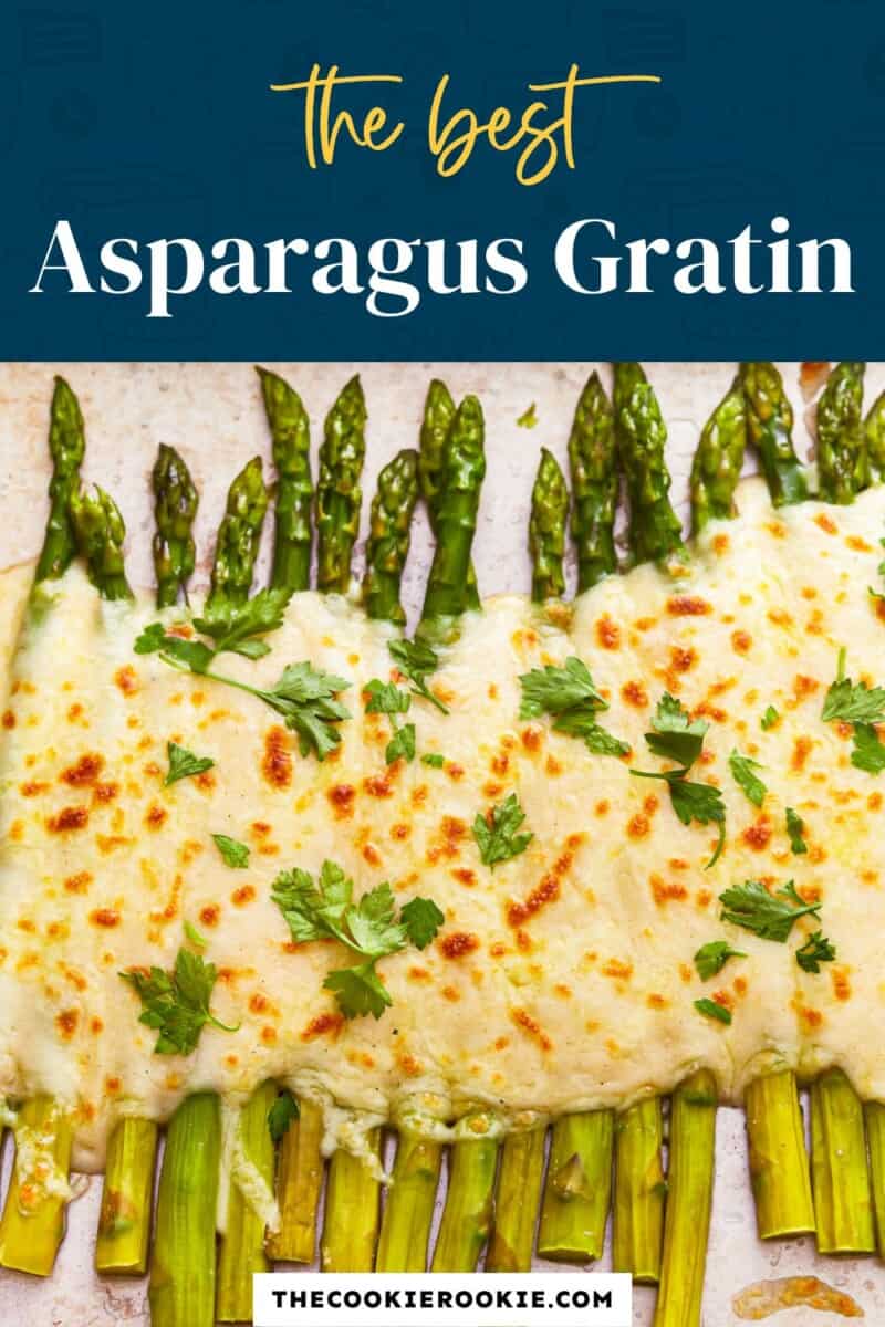 The best asparagus gratin with the text the best asparagus gratin with the text the best asparagus gratin with the text the best asparagus.