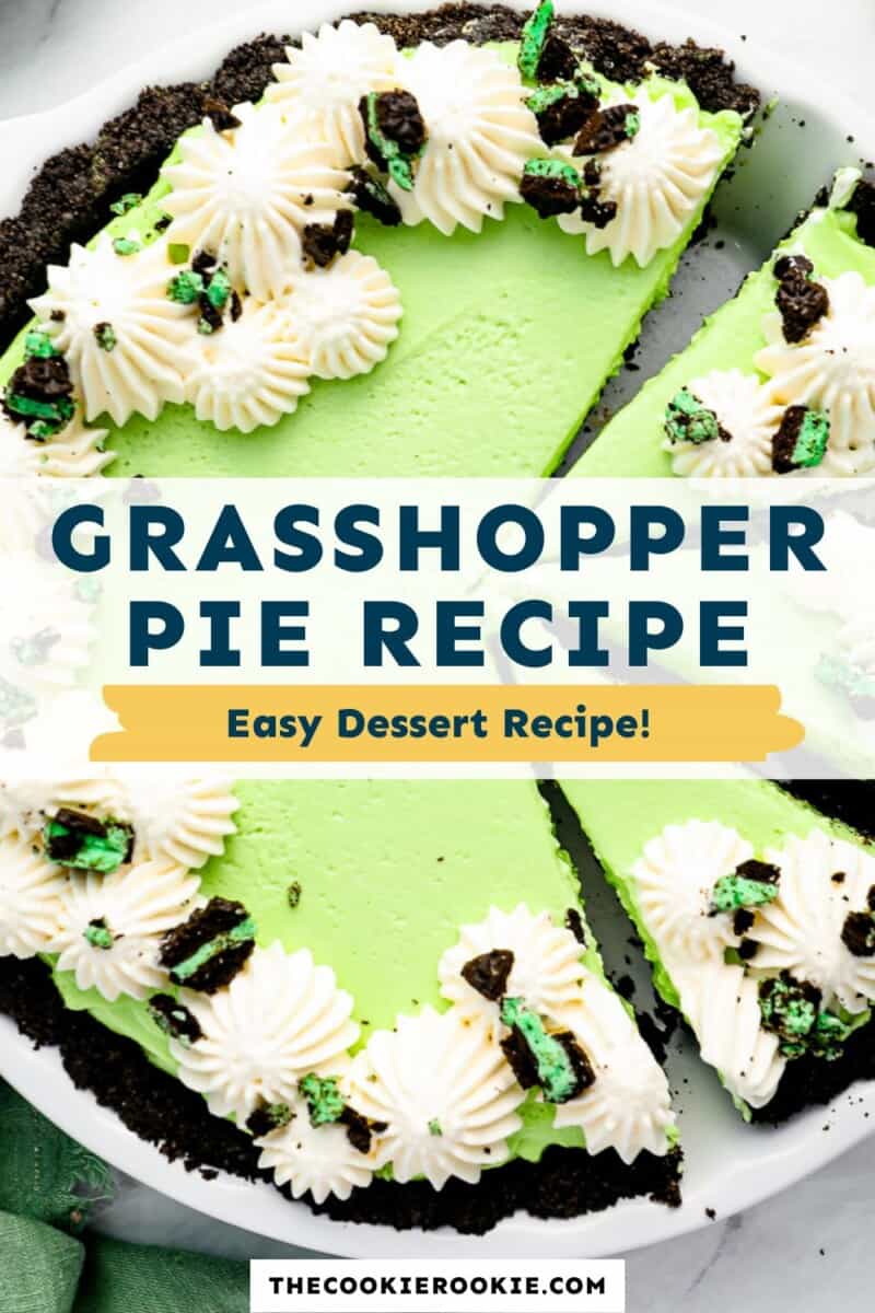 Grasshopper pie recipe easy dessert recipes.