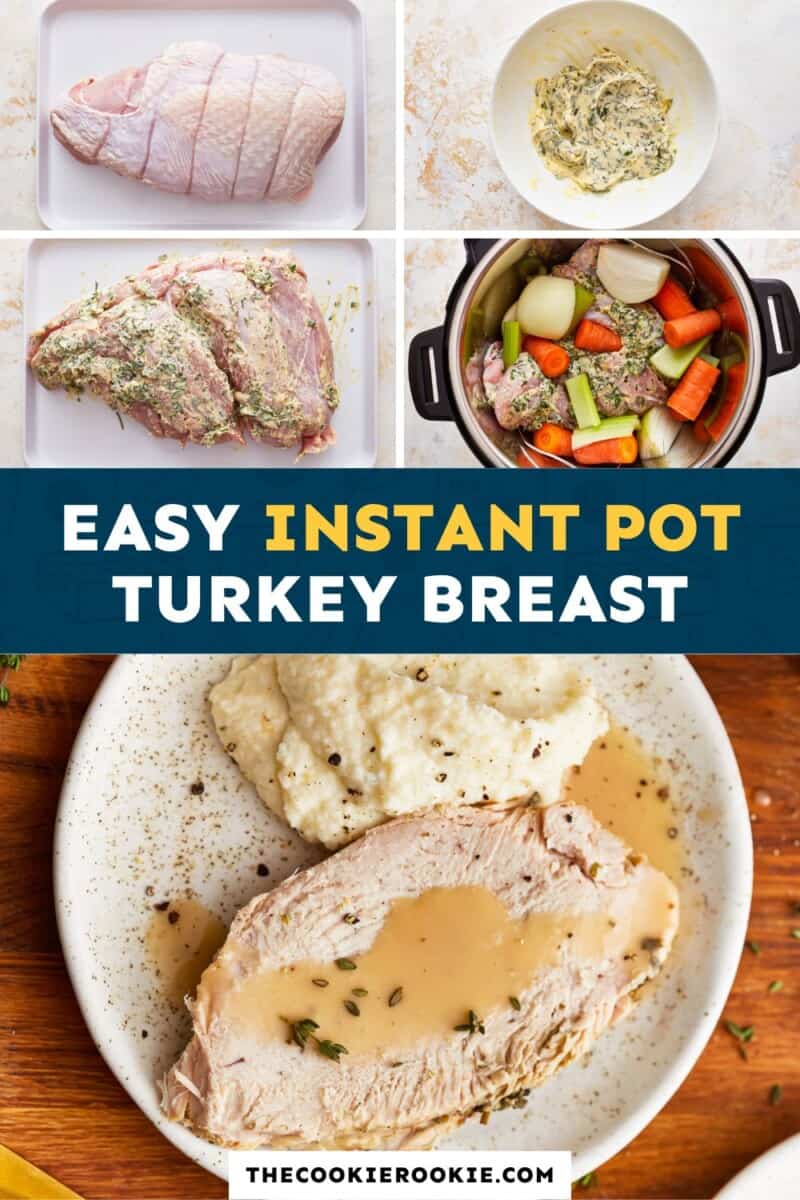 Easy instant pot turkey breast.
