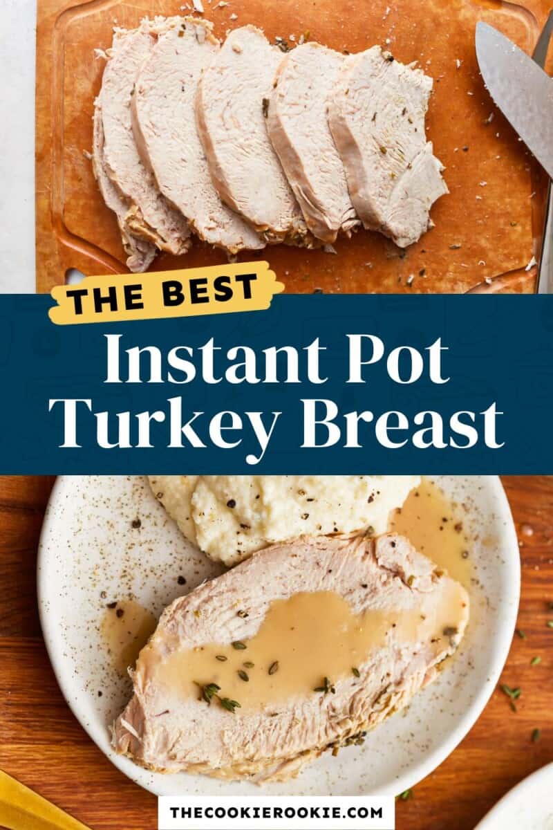 The best instant pot turkey breast.