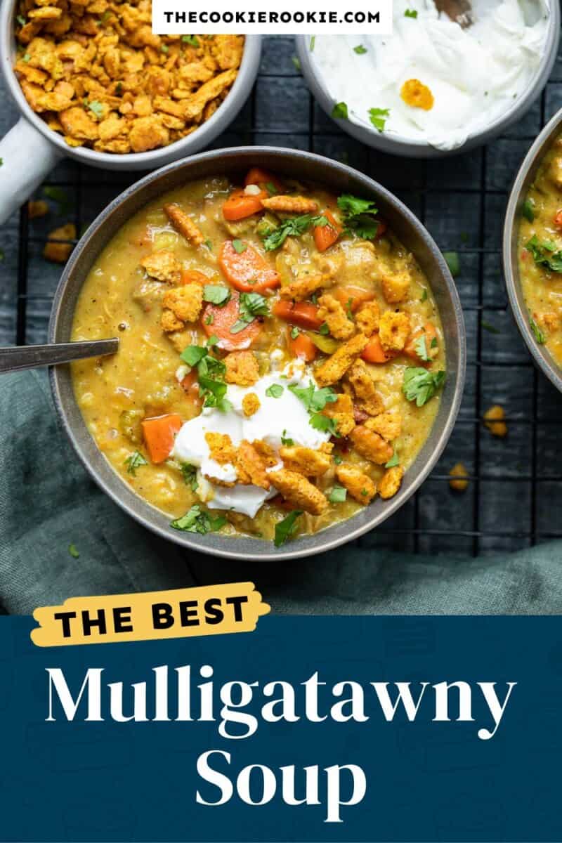 The best mulligatawney soup.