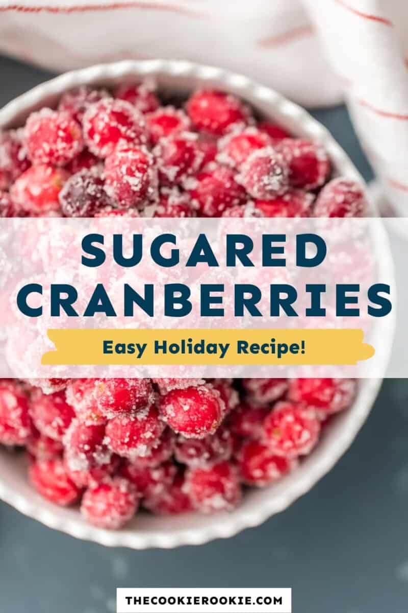 Sugared Cranberries Recipe - The Cookie Rookie®